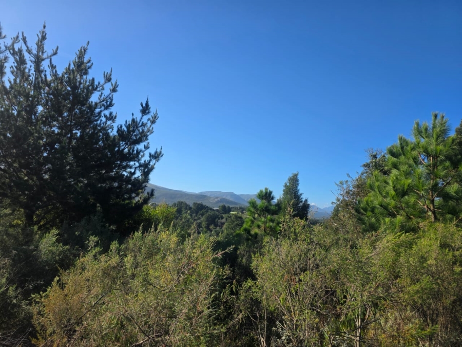 Commercial Property for Sale in Wilderness Heights Western Cape